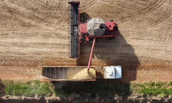 35 cidades do Paraná têm Valor Bruto da Produção Agropecuária superior a R$ 1 bilhão.