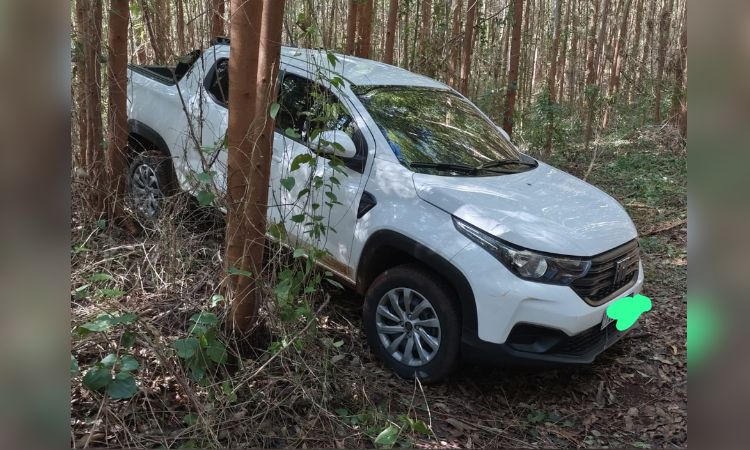 Ação Conjunta: Polícia Militar e Civil recuperam veículo roubado escondido em plantação de eucaliptos em Catanduvas