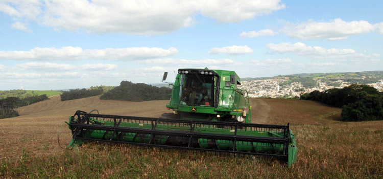 AGRICULTURA: Adapar coíbe uso abusivo de agrotóxicos em plantações de feijão.