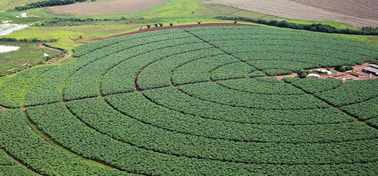 AGRICULTURA: Brasil negocia aumento da importação de potássio da Jordânia.