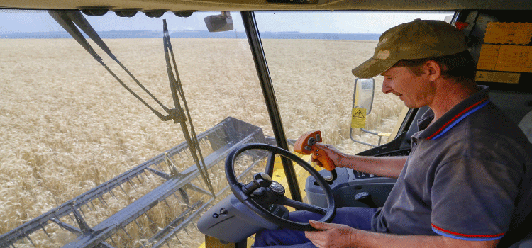AGRICULTURA: Colheita da 2ª safra de milho começa no Paraná; previsão é de 16 milhões de toneladas.