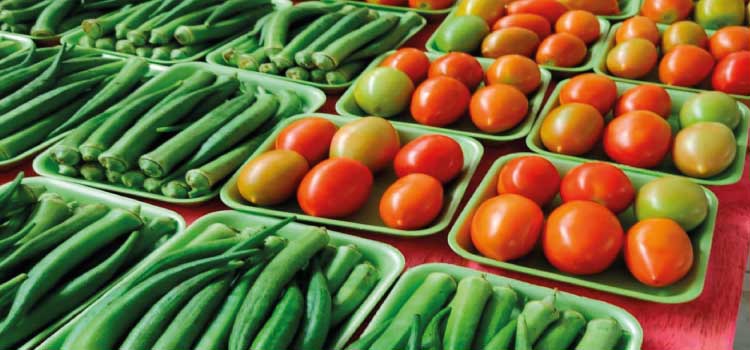 AGRICULTURA: Compras públicas impulsionam produção e consumo de alimentos orgânicos no Paraná.