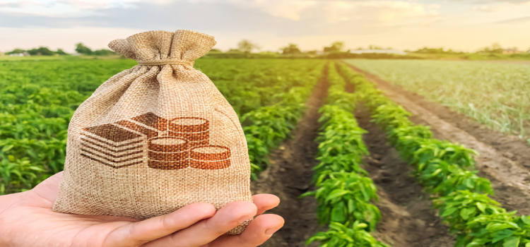 AGRICULTURA: Contratações do crédito rural alcançam R$ 209 bilhões em nove meses.