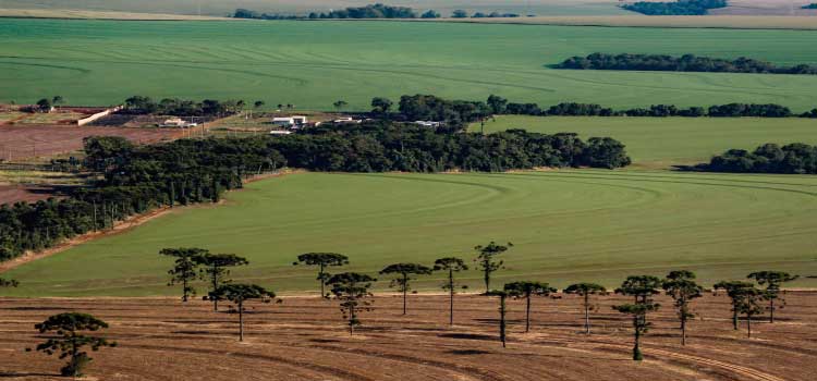 AGRICULTURA: Em fase de modernização, programa Crédito Fundiário capacita técnicos no Paraná.