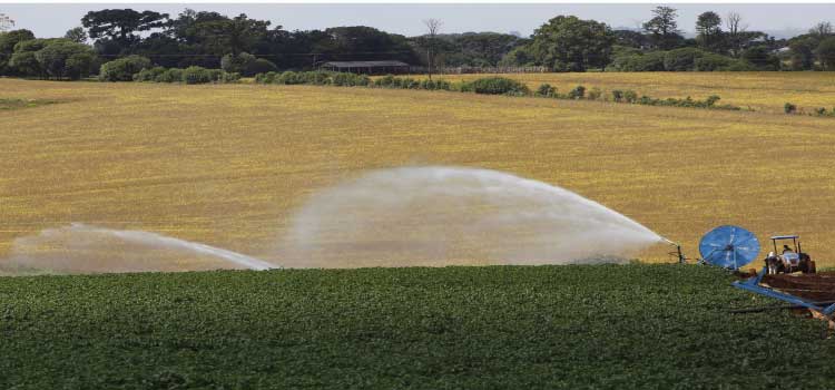 AGRICULTURA: Em seis meses, Banco do Agricultor Paranaense ajudou 1.235 projetos do campo