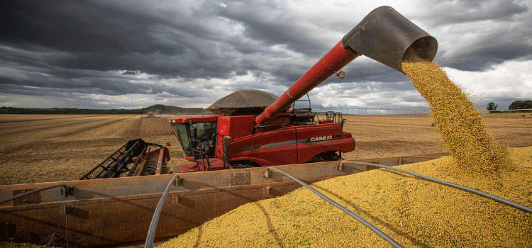 AGRICULTURA: Governo cria grupo para implementar Observatório das Mulheres Rurais.