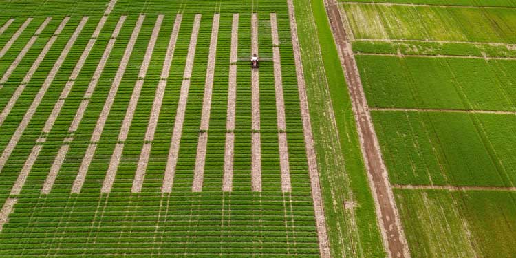AGRICULTURA: Nota técnica da Adapar alerta sobre suspensão do agrotóxico carbendazin.
