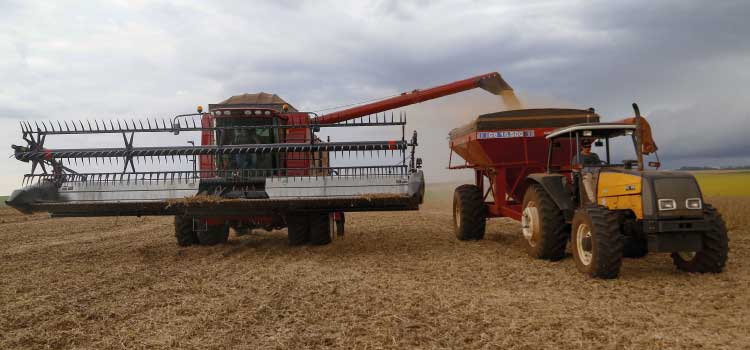 AGRICULTURA: Paraná apresenta sugestões ao governo federal para ampliar Plano Safra 2022/23.
