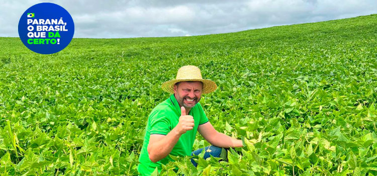 AGRICULTURA: Paraná se destaca no melhoramento genético do feijão e garante maior produtividade.