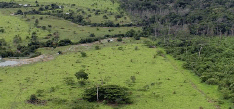 AGRICULTURA: Proprietário rural pode emitir Certificado de Cadastro de Imóvel.