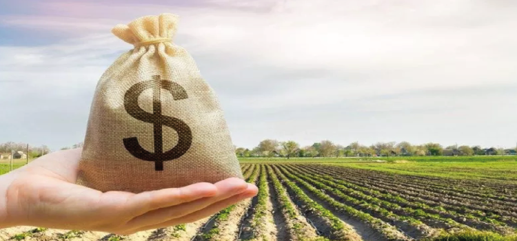 AGRICULTURA: Recurso aprovado no Congresso deve destravar R$ 24 bilhões em crédito rural.