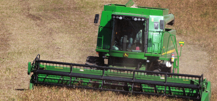 AGRICULTURA: Responsável por um quarto da produção nacional, Paraná avança na colheita de feijão.