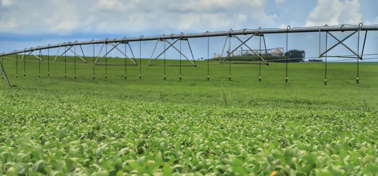 AGRICUTURA: Ministério atende reivindicação do Paraná e altera calendário de plantio soja na safra 2021/22