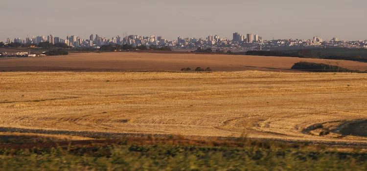 AGRO: 14 municípios paranaenses ultrapassam R$ 1 bilhão em Valor Bruto da Produção Agropecuária