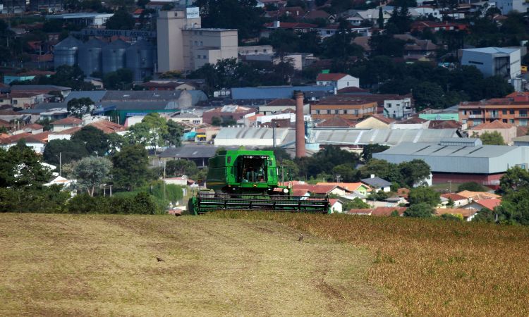 AGRO EM ALTA: Paraná Registra Terceira Maior Variação Positiva na Previsão da Safra, Aponta IBGE
