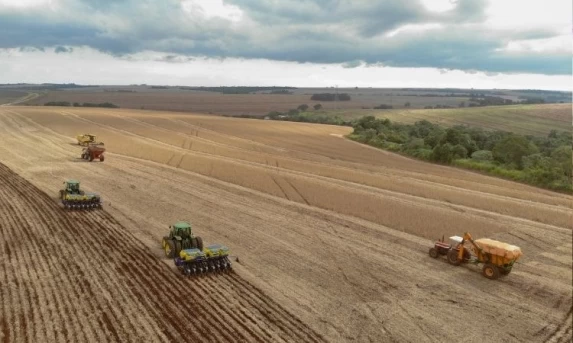 Agro em Destaque: Paraná prevê safra recorde de soja e consolida liderança na exportação de frango