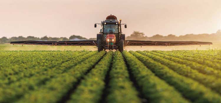 AGRO: Prazo para adequação à NR 31 termina em 27 de outubro