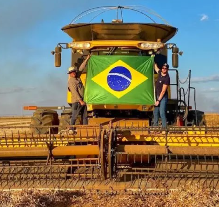 Agro será responsável por 1/4 do PIB, mesmo com queda.