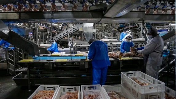 AGROINDÚSTRIA: Paraná Retira Carnes de Aves Cozidas da Substituição Tributária para Impulsionar a Competitividade do Setor