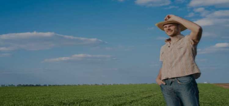 AGRONEGÓCIO: Banco Agro lança crédito de até R$ 30 mil para jovens produtores rurais.