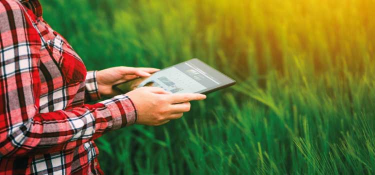 AGRONEGÓCIO: Startup do agro anuncia expansão com abertura de franquia no Paraná.