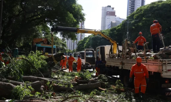 Alerta em São Paulo: Número de Clientes Sem Energia Volta a Disparar Após Ciclone; Enel Cita 