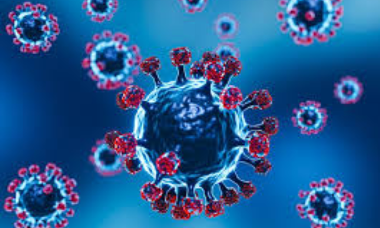 Alerta Sanitário: Ministério da Saúde confirma os primeiros casos do 