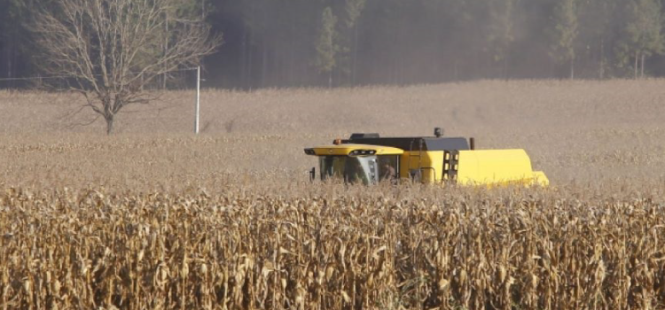 Apesar do clima, agropecuária do Paraná manteve alto rendimento em 2022.