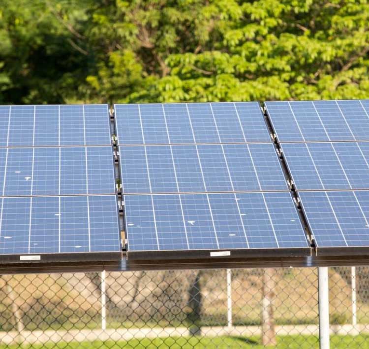 Aumento do consumo de energia solar traz projeções otimistas ao setor.