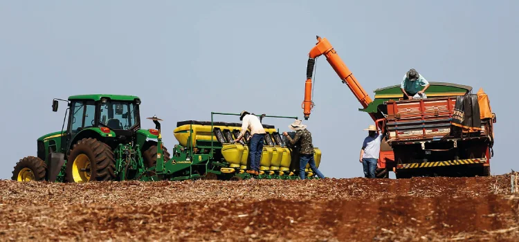 Boletim agropecuário retrata atraso nas lavouras em razão das chuvas