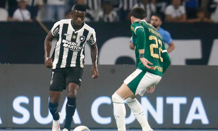 Botafogo recebe Palmeiras no primeiro jogo das oitavas da Libertadores.