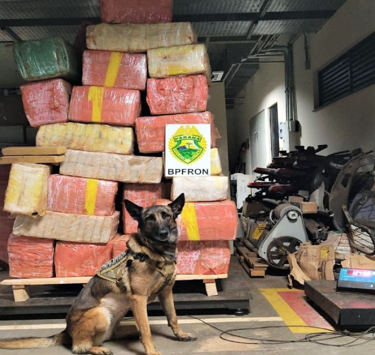 BPFRON tira de circulação mais de uma tonelada de droga em Marechal Cândido Rondon.