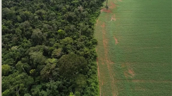 Brasil apresenta propostas de financiamento climático em evento da ONU em Nova York