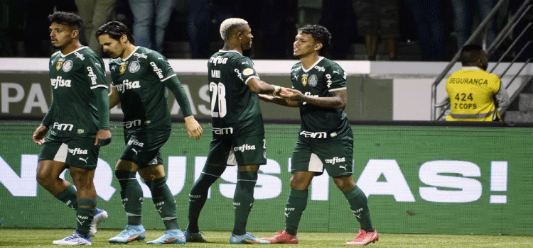 BRASILEIRÃO: Palmeiras dá resposta após eliminação e prova que título brasileiro é obsessão.