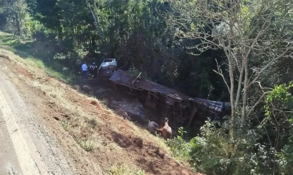 Carreta capota e 6 cavalos morrem em acidente no Paraná.