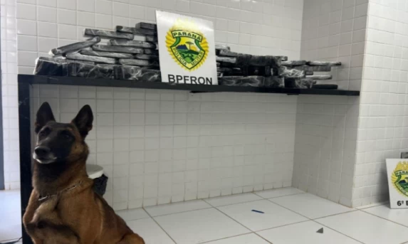 Casal é preso em ônibus da região com mais de R$ 84 mil em droga.