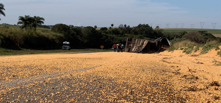 CASCAVAEL: Ao fazer curva, caminhão tomba e derruba carga sobre a rodovia BR-467.