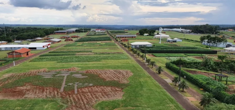 CASCAVEL: A um mês do início, Coopavel acelera os preparativos do 35º Show Rural.