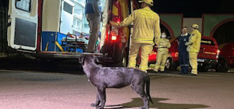 CASCAVEL: Mulher é brutalmente espancada até a morte; animal da vítima a esperava fora da ambulância.