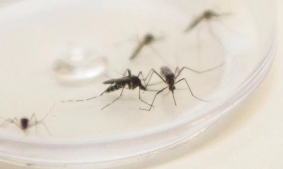 BC informa que teto para rotativo vale a partir desta quarta-feira