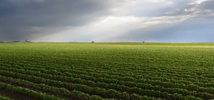 Chuva deve seguir a conta gotas no Paraná