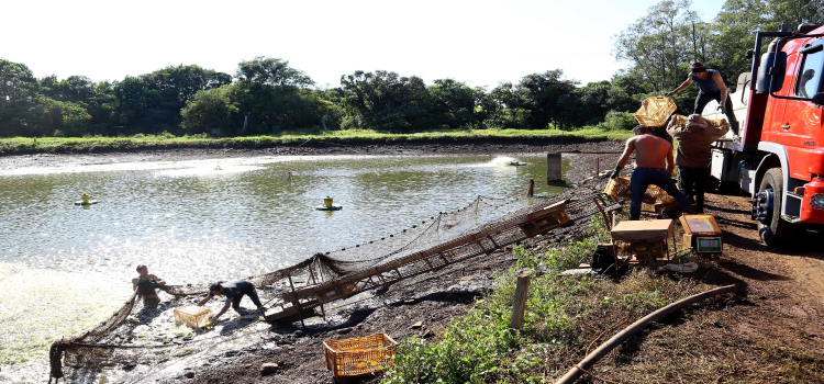 Com aumento em todas as faixas, Salário Mínimo Regional do Paraná será o maior do País.
