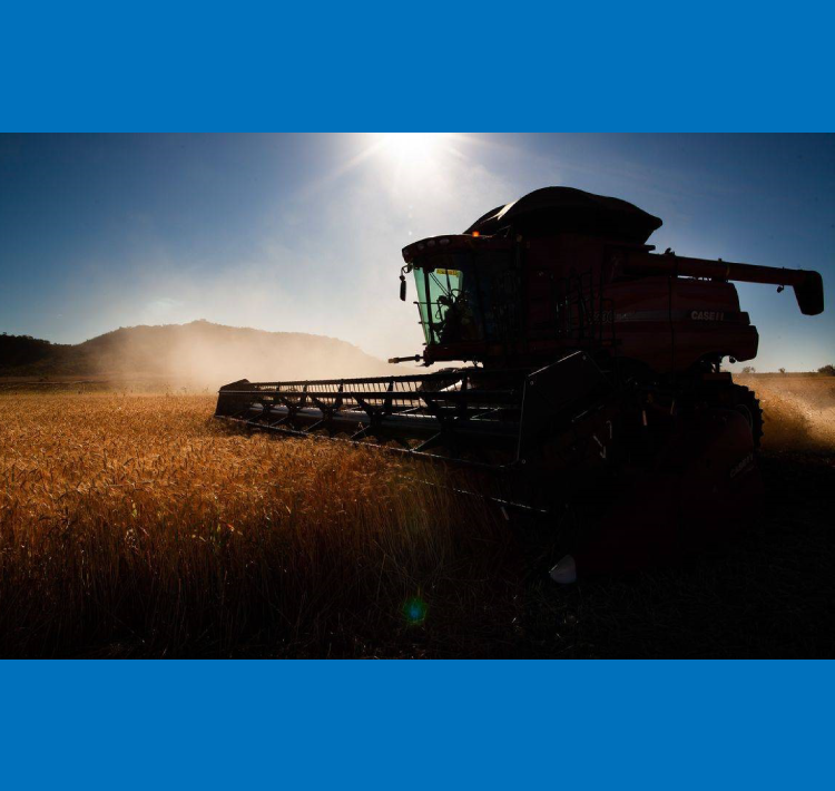 Condutores de máquinas agrícolas agora devem portar registro.