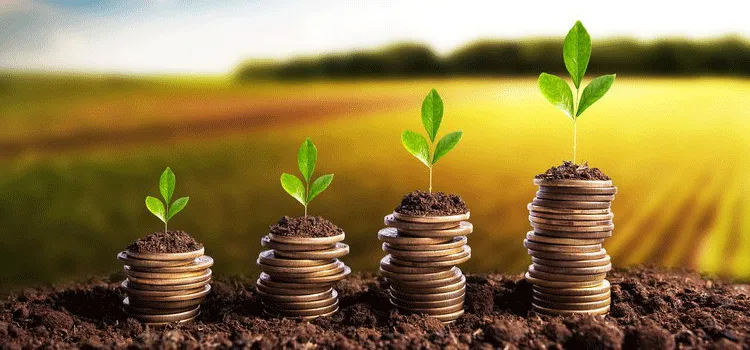 Contratação do crédito rural alcança mais de R$ 147 bilhões em oito meses