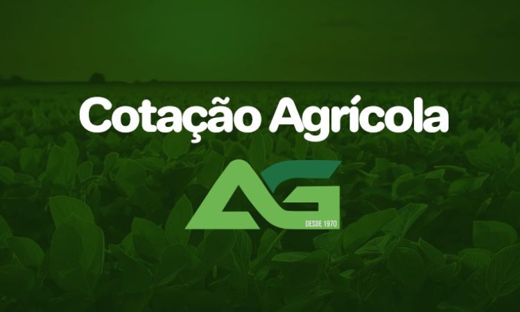 Cotações Agrícolas para esta Quarta-feira 12 de Agosto de 2026