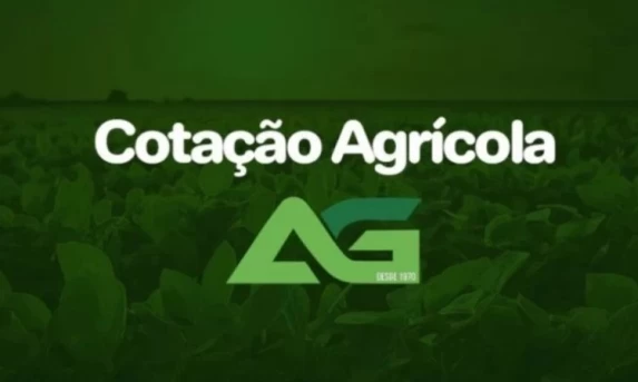 Cotações Agrícolas para esta Segunda-feira 08 de Dezembro de 2025