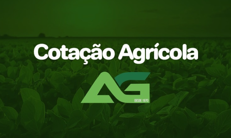 Cotações Agrícolas para esta Terça-feira 17 de Setembro 2024