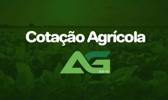Cotações Agrícolas para esta Terça-feira 25 de Novembro de 2025