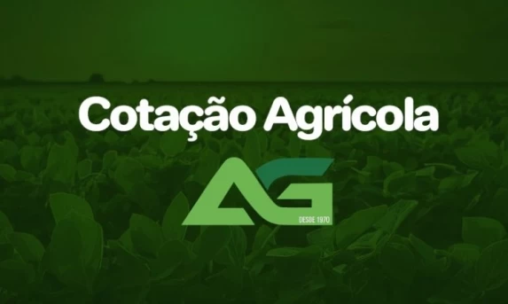 Cotações Agrícolas para esta Terça-feira 30 de Junho de 2026