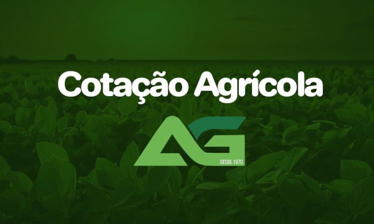 Cotações Agrícolas para esta Terça-feira 30 de Junho de 2026